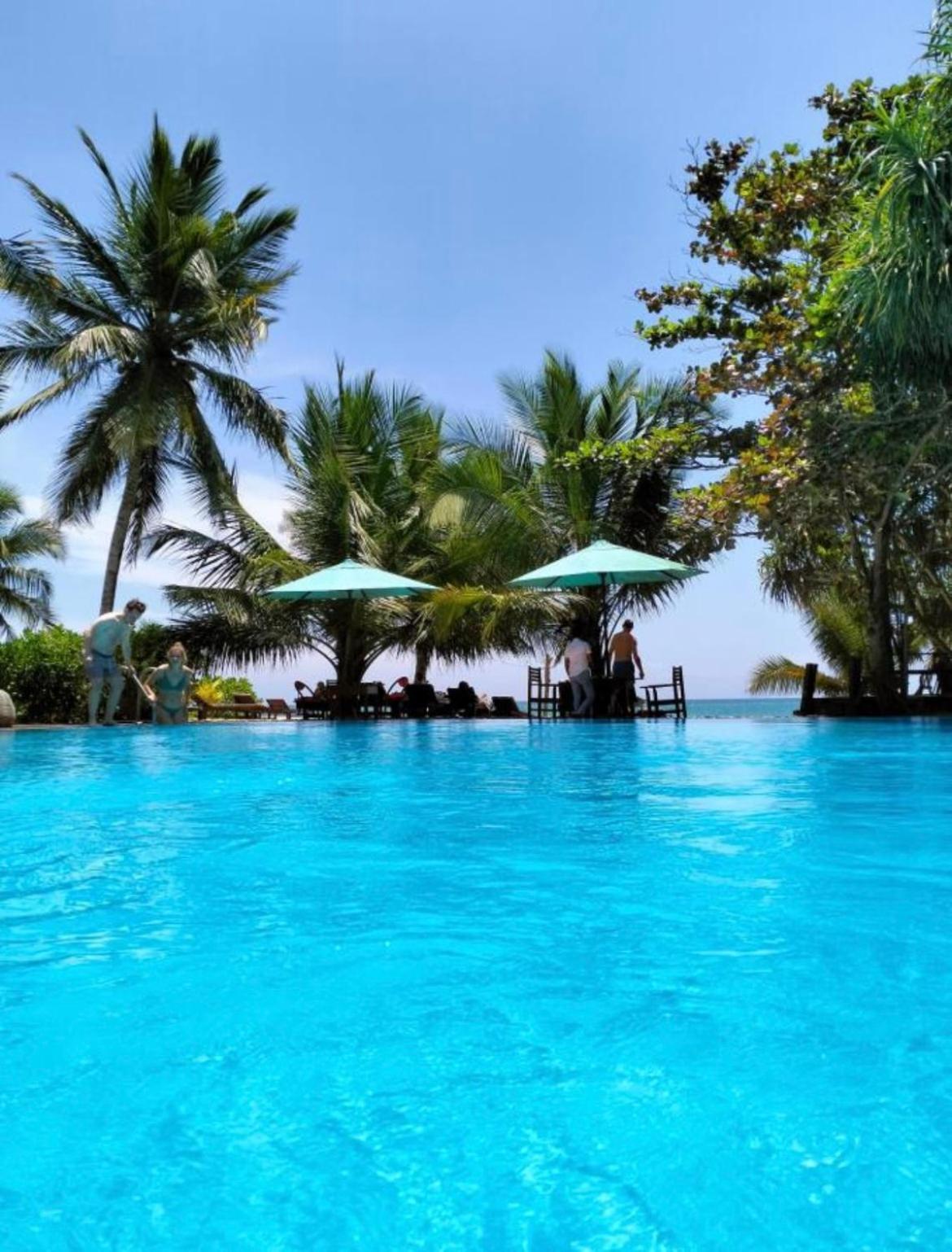 טנגלה Marakolliya Beach Resort מראה חיצוני תמונה